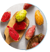 Ignitra Ingredient Prickly Pear Extract