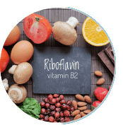 Ignitra Ingredient Riboflavin