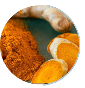 Ignitra Ingredient Turmeric Extract