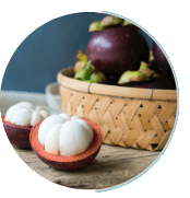 Ignitra Ingredient Mangosteen Powder